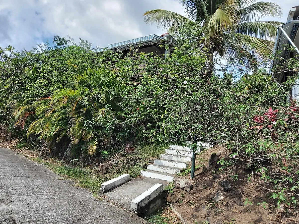 Les Gites Du Domaine De Petite-Anse Bouillante