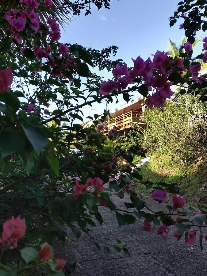 Holiday home Les Gites Du Domaine De Petite-Anse Bouillante